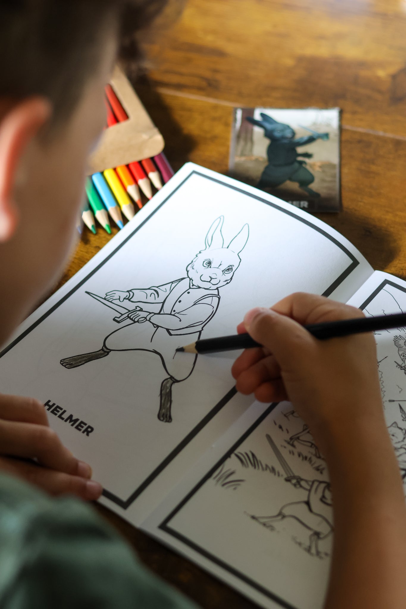 The Official Green Ember Series 4 Book Set + Activity Book and More