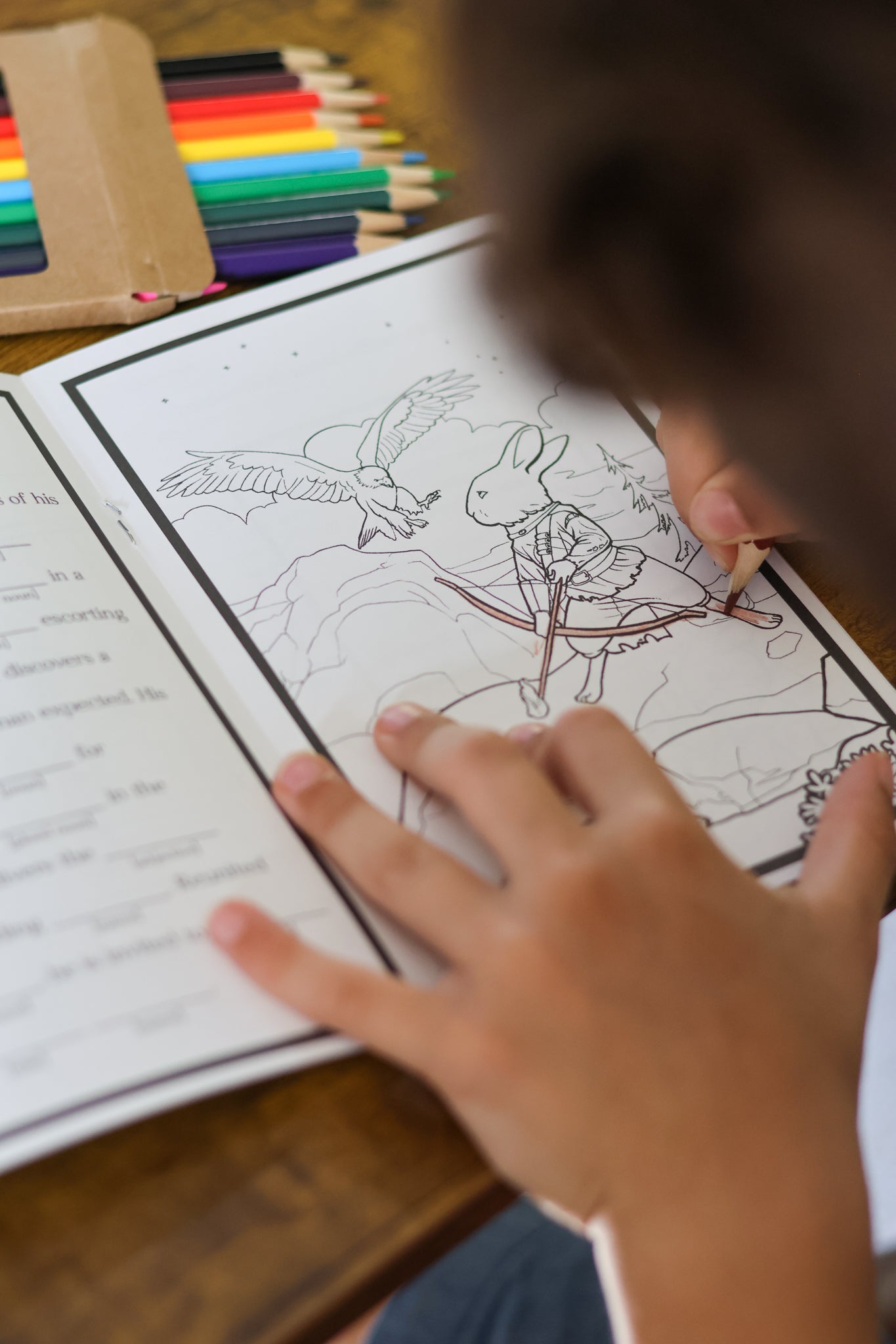 The Official Green Ember Activity Books